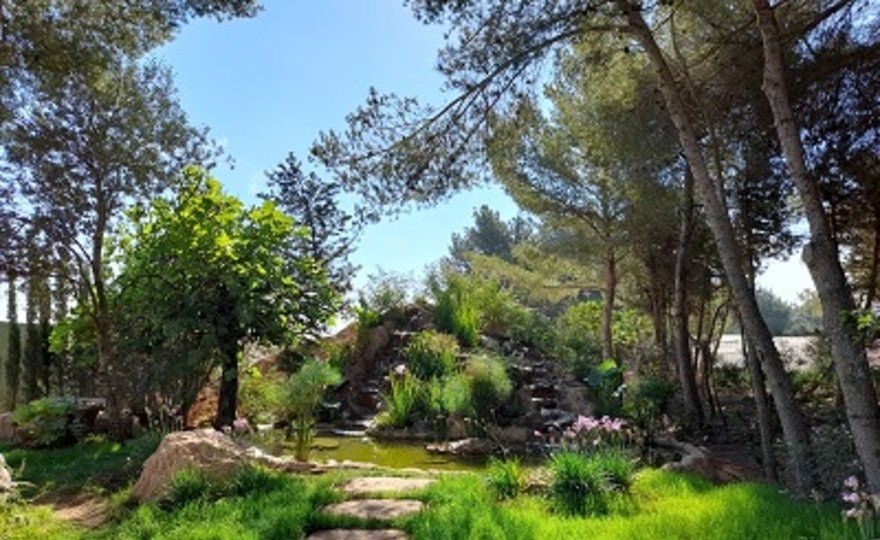 Ibiza Botánico Biotecnológico - Bibo Park