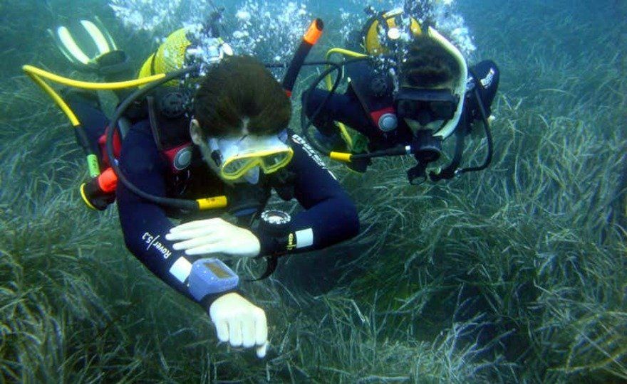 Curso de buceo PADI Open Water en Ciudadela