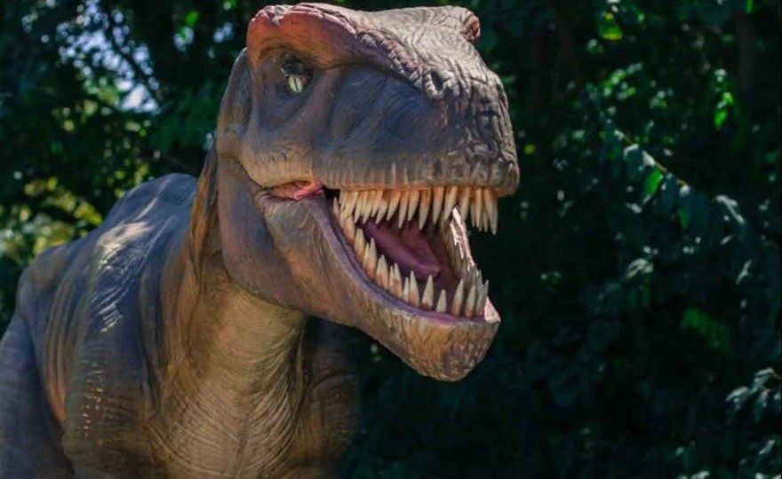 Excursión a las cuevas dels Hams y Dinosaurland