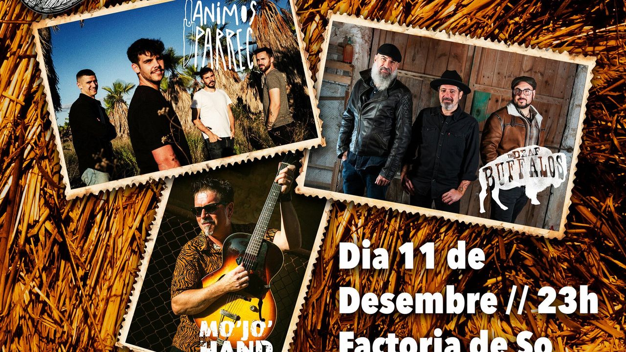 Nit De Rock Foraviler