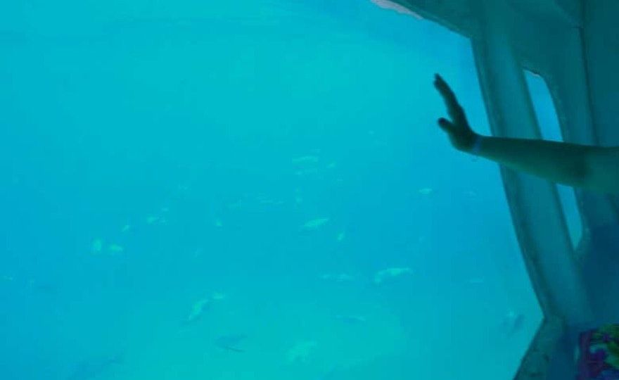 Excursión a Cala Saladeta y Ses Margalides en barco