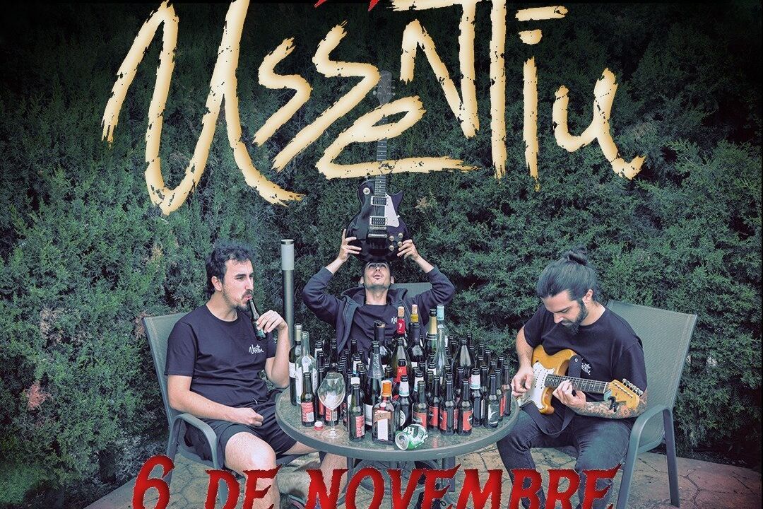 Concert 5 Anys Ussentiu