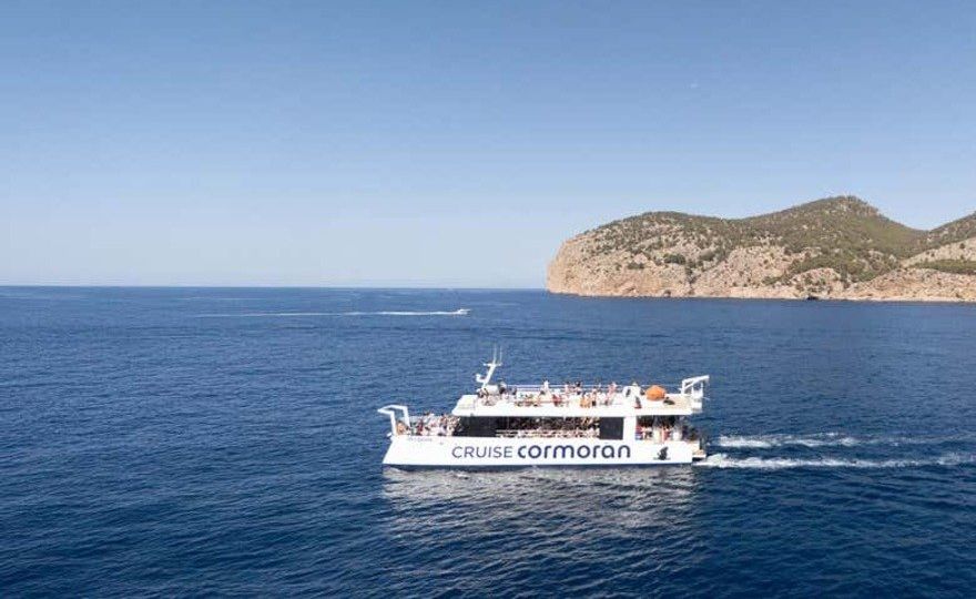 Avistamiento de delfines en el sur de Mallorca
