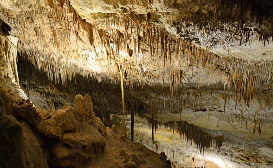 Excursión a las cuevas del Drach desde el norte y este de Mallorca