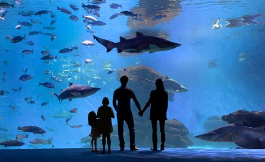 Entrada a Palma Aquarium