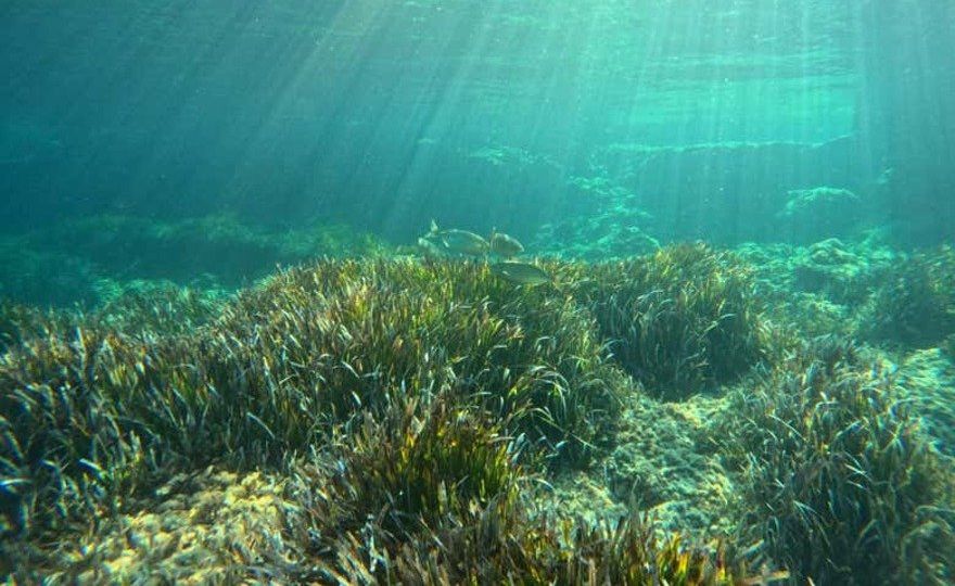 Bautismo de buceo en Cala'n Bosch