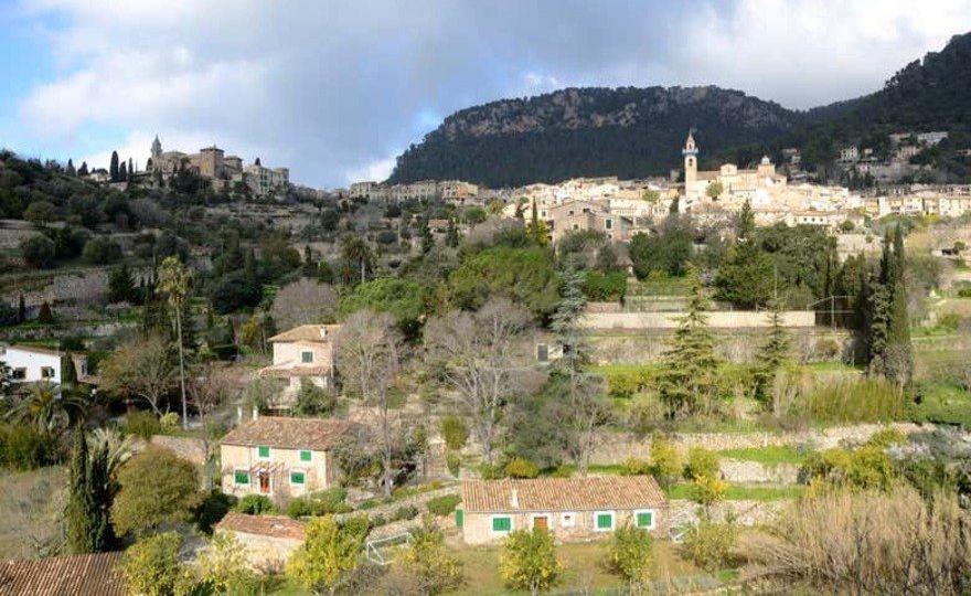 Tour privado por Valldemosa ¡Tú eliges!